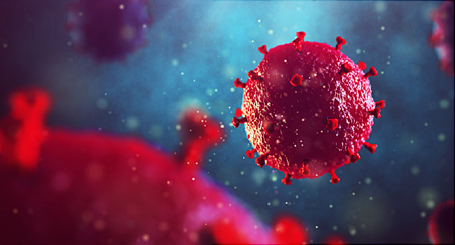 650x350_hiv_how_the_virus_affects_your_body_ref_guide.jpg